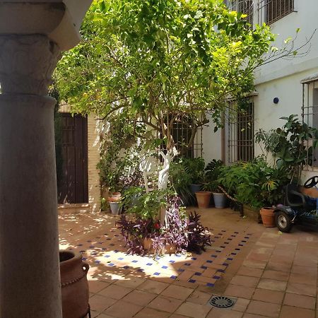 Casa Patio Los Suenos De Daury II Córdoba Kültér fotó