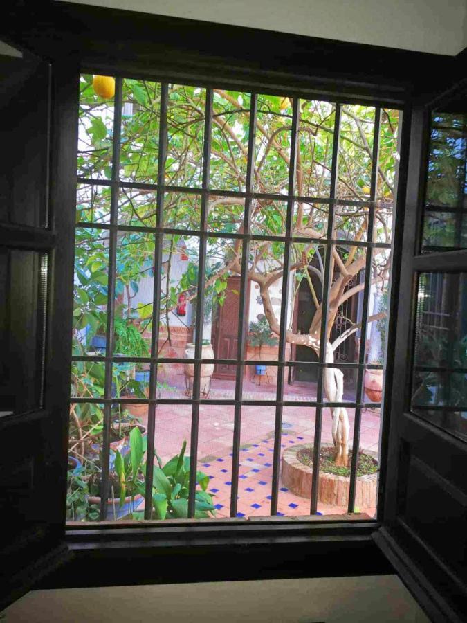Casa Patio Los Suenos De Daury II Córdoba Kültér fotó